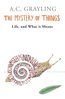 The Mystery of Things