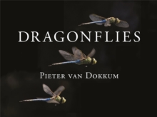 Dragonflies : Magnificent Creatures of Water, Air, and Land, Hardback Book Dragonflies : Magnificent Creatures of Water, Air, and Land, Hardback Book
