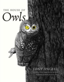 The House of Owls, Paperback / softback Book The House of Owls, Paperback / softback Book