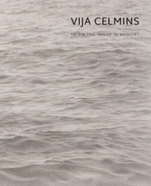 Vija Celmins : To Fix the Image in Memory