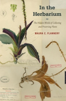 In the Herbarium : The Hidden World of Collecting and Preserving Plants