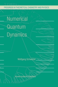 Numerical Quantum Dynamics