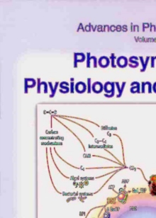 Photosynthesis: Physiology and Metabolism