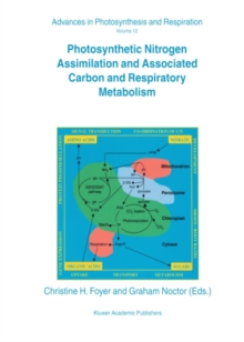 Photosynthetic Nitrogen Assimilation and Associated Carbon and Respiratory Metabolism