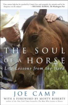 The Soul of a Horse : Life Lessons from the Herd