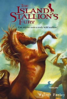 Island Stallion's Fury