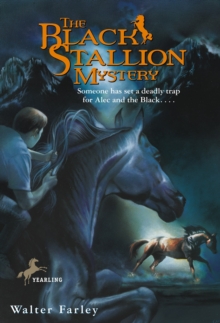 Black Stallion Mystery