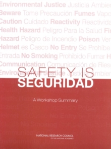 Safety is Seguridad : A Workshop Summary