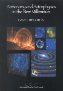 Astronomy and Astrophysics in the New Millennium : Panel Reports