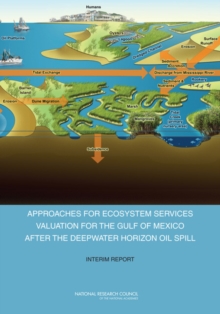 Approaches for Ecosystem Services Valuation for the Gulf of Mexico After the Deepwater Horizon Oil Spill : Interim Report