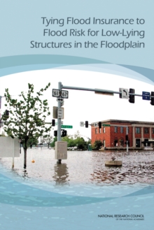 Tying Flood Insurance to Flood Risk for Low-Lying Structures in the Floodplain