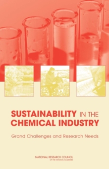 Sustainability in the Chemical Industry : Grand Challenges and Research Needs