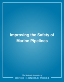 Improving the Safety of Marine Pipelines