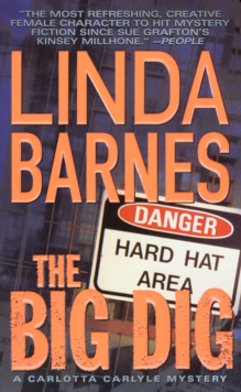 The Big Dig, Paperback Book The Big Dig, Paperback Book