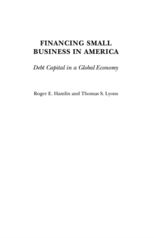 Financing Small Business in America : Debt Capital in a Global Economy