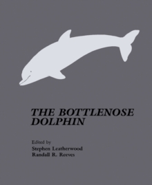 The Bottlenose Dolphin