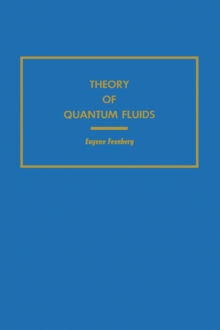 Theory of Quantum Fluids