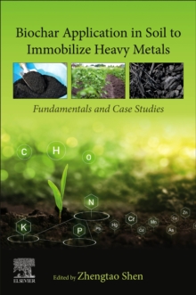 Biochar Application in Soil to Immobilize Heavy Metals : Fundamentals and Case Studies