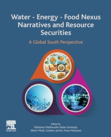 Water - Energy - Food Nexus Narratives and Resource Securities : A Global South Perspective