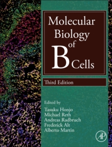 Molecular Biology of B Cells