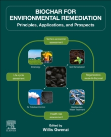 Biochar for Environmental Remediation : Principles, Applications, and Prospects