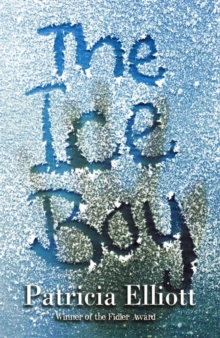The Ice Boy, Paperback Book The Ice Boy, Paperback Book