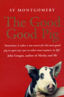 The Good Good Pig, Paperback / softback Book The Good Good Pig, Paperback / softback Book