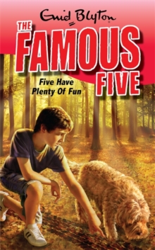 Five Have Plenty Of Fun : Book 14, Paperback Book Five Have Plenty Of Fun : Book 14, Paperback Book