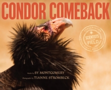 Condor Comeback, EPUB eBook Condor Comeback, EPUB eBook