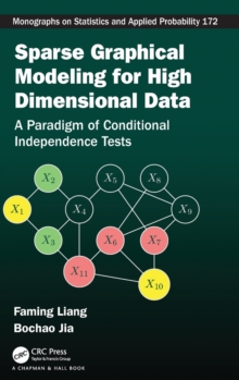 Sparse Graphical Modeling for High Dimensional Data : A Paradigm of Conditional Independence Tests