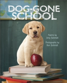 Dog-Gone School, Hardback Book Dog-Gone School, Hardback Book