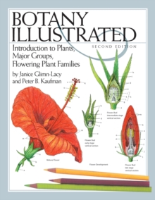 Botany Illustrated : Introduction to Plants, Major Groups, Flowering Plant Families, Paperback Book Botany Illustrated : Introduction to Plants, Major Groups, Flowering Plant Families, Paperback Book
