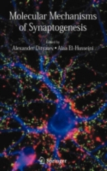 Molecular Mechanisms of Synaptogenesis