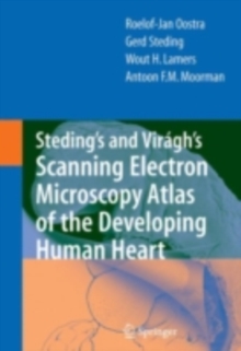 Steding's and Viragh's Scanning Electron Microscopy Atlas of the Developing Human Heart