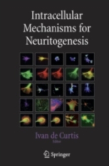 Intracellular Mechanisms for Neuritogenesis