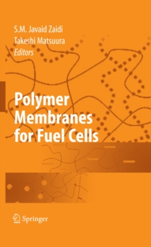 Polymer Membranes for Fuel Cells