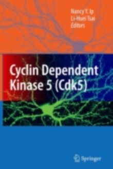 Cyclin Dependent Kinase 5 (Cdk5)