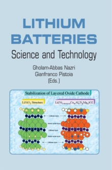 Lithium Batteries : Science and Technology