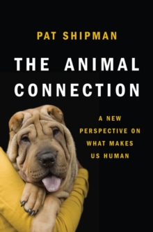 The Animal Connection : A New Perspective on What Makes Us Human, Hardback Book The Animal Connection : A New Perspective on What Makes Us Human, Hardback Book