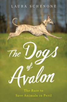 The Dogs of Avalon : The Race to Save Animals in Peril, Hardback Book The Dogs of Avalon : The Race to Save Animals in Peril, Hardback Book