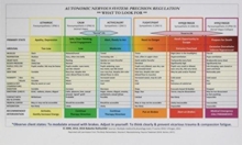 Autonomic Nervous System Table: Laminated Card