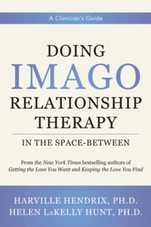 Doing Imago Relationship Therapy in the Space-Between : A Clinician's Guide