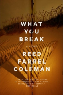 What You Break : A Novel, Hardback Book What You Break : A Novel, Hardback Book
