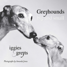 Greyhounds Big And Small : Iggies and Greyts, Paperback / softback Book Greyhounds Big And Small : Iggies and Greyts, Paperback / softback Book