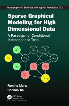 Sparse Graphical Modeling for High Dimensional Data : A Paradigm of Conditional Independence Tests