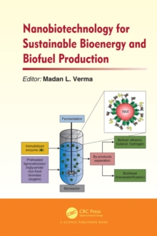 Nanobiotechnology for Sustainable Bioenergy and Biofuel Production