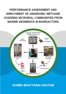 Performance Assessment and Enrichment of Anaerobic Methane Oxidizing Microbial Communities from Marine Sediments in Bioreactors