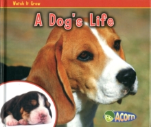 A Dogs Life, Hardback Book A Dogs Life, Hardback Book