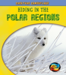 Hiding in the Polar Regions, Hardback Book Hiding in the Polar Regions, Hardback Book