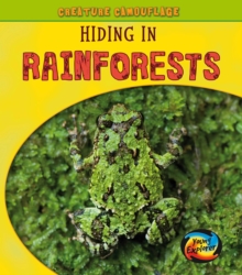 Hiding in Rainforests, Hardback Book Hiding in Rainforests, Hardback Book